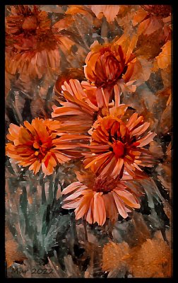 Flowers from Fay