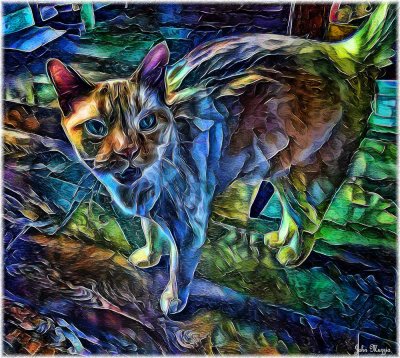 Kitty
