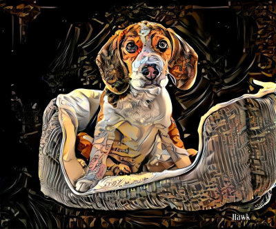 Fred