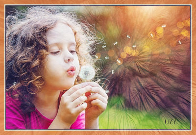 Dandelion fun.jpg