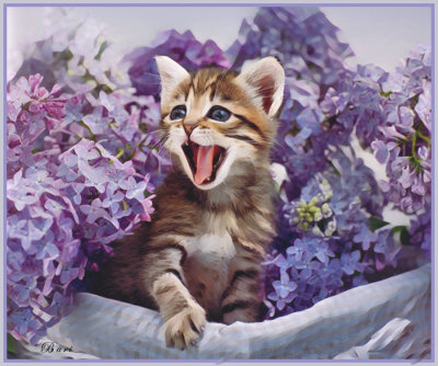 Kitten in Lilacs