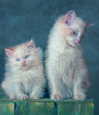 The White Kittens