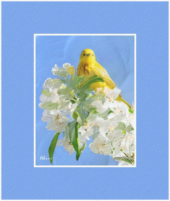 Yellow Bird on Blue