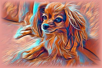 Fancy Puppy