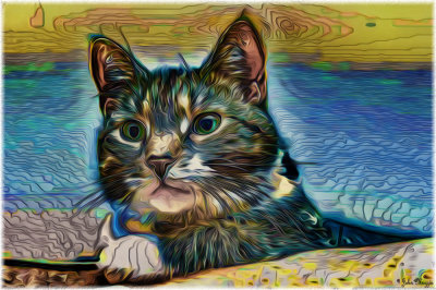 Kitty