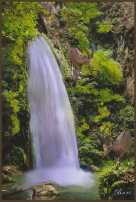 At the Waterfall
