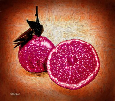 Fruit