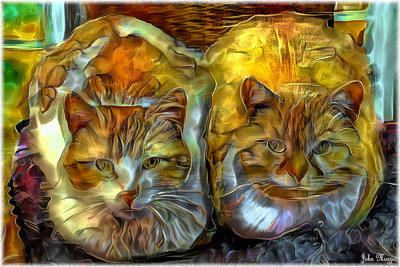 Two Kitties