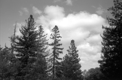 g12/96/2556896/3/171438741.KdEc0LnW.jpg