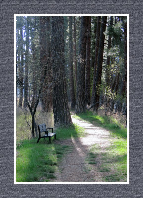 2022-05-03 594 Kettle River Bench