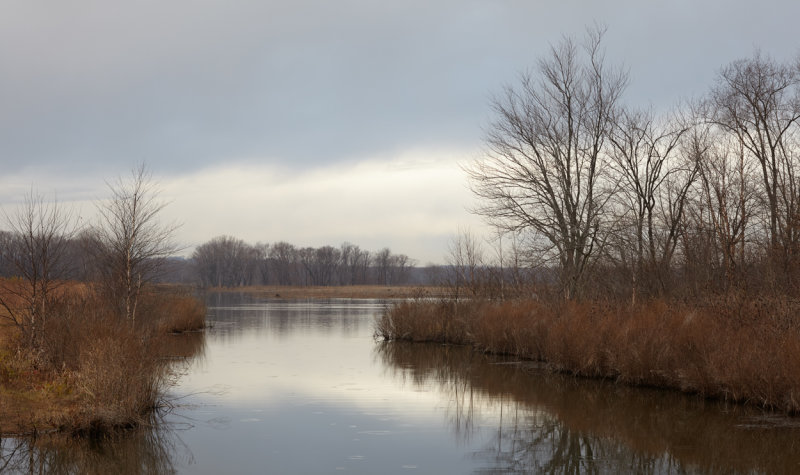 Rain at Spring Lake