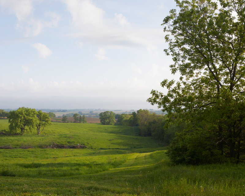 A Morning in May 