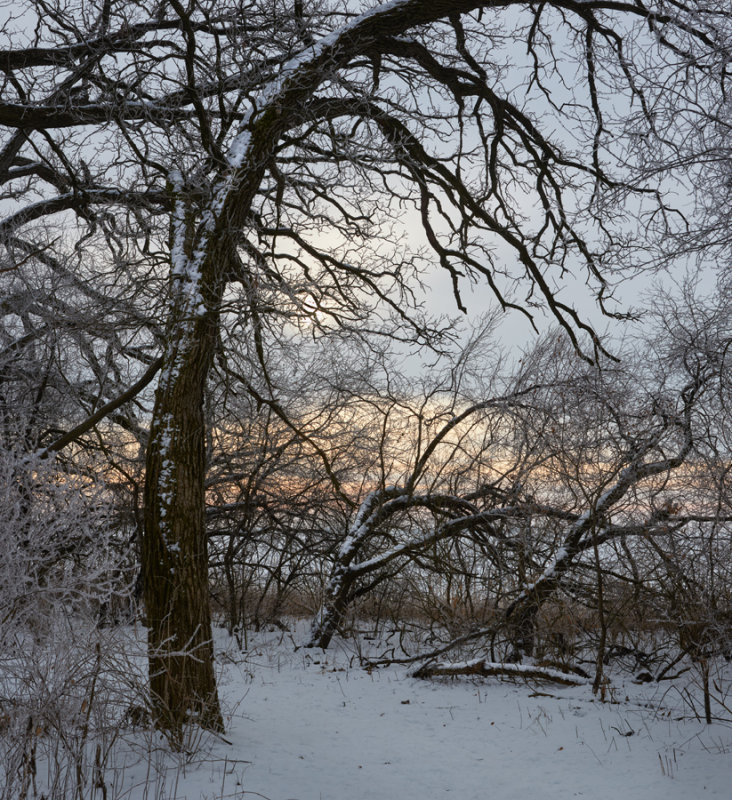 Winter Sunrise at Lone Grove 