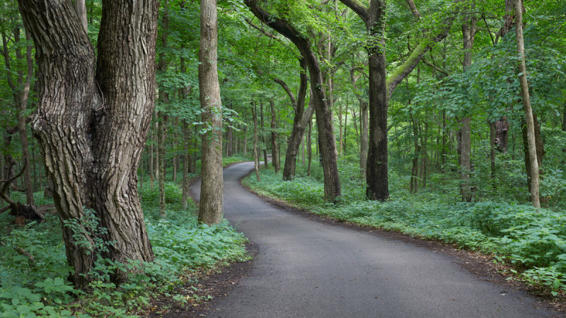 Road at Johnsons Mound 