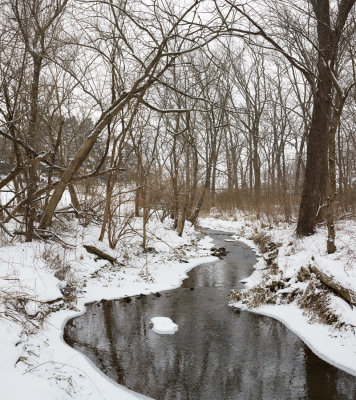 Silver Creek in Winter