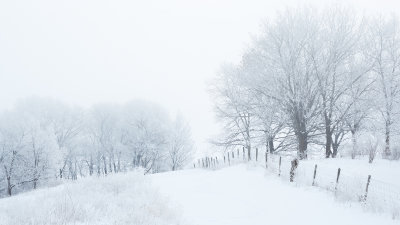 Hilltop Fence 