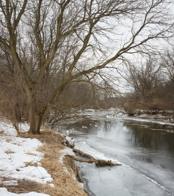 March Snow and Ice 