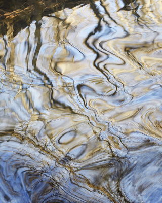 Rippled Reflections 