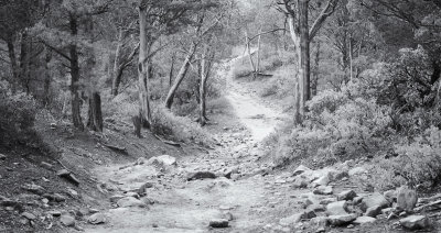 Section of Brins Mesa Trail 