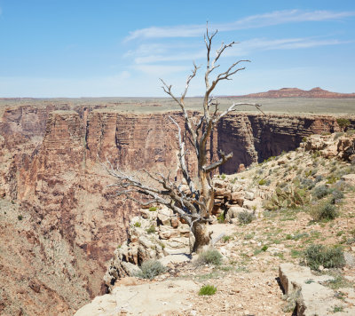 Edge of the Canyon 