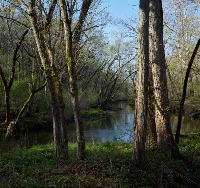 Morning Light at Somonauk Creek