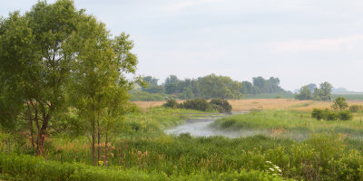 Morning Mist at Merritt Prairie 