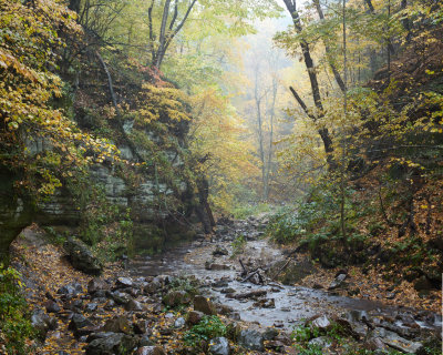 Fog at Parfrey's Glen 