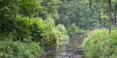 Midsummer Hall Creek 