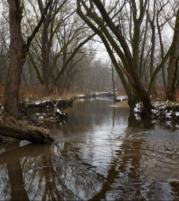 Floodplain Confluence, November