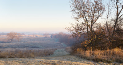 December Morning Mist 