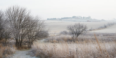 Prairie Frost 