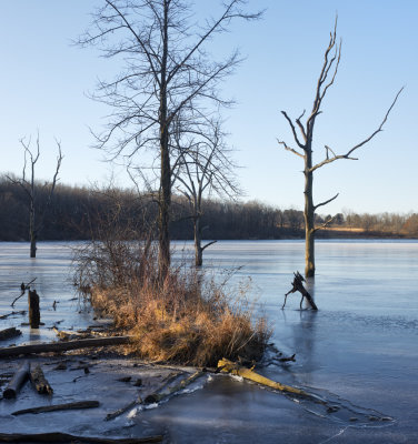 Island in the Ice