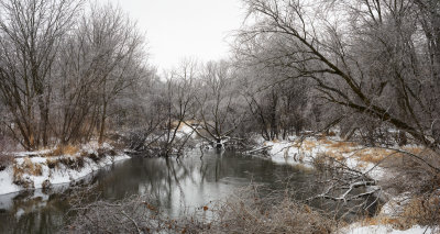 Ice Storm along the Kish 