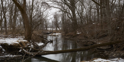 Owens Creek in February