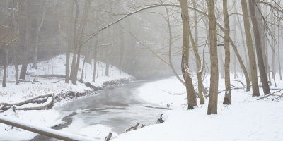 Canyon Fog 