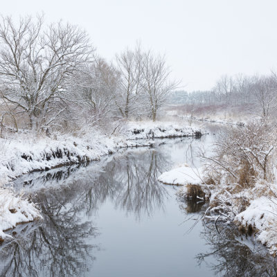 The Banks of Little Rock Creek 