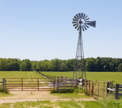 Windmill and Cattle Tank 