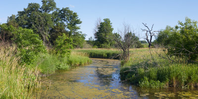 Mill Creek Oxbow Pond 