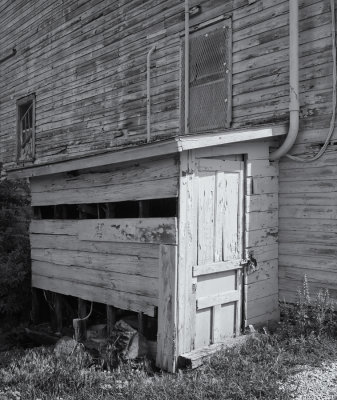 Sunlit Door 