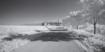 Shadows along Maplewood Road 