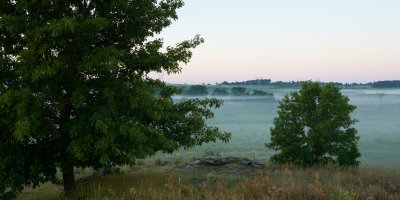 Dawn Fog at Clear Creek Knolls 