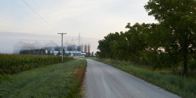 Ground Fog at Maplewood Road 