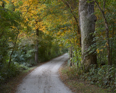 Around the Bend 