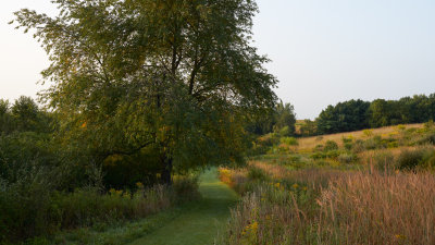 Around the Bluestem