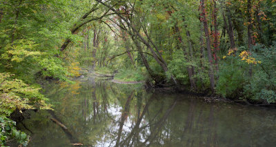 Colors at Somonauk Creek