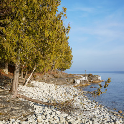 Along the Shore