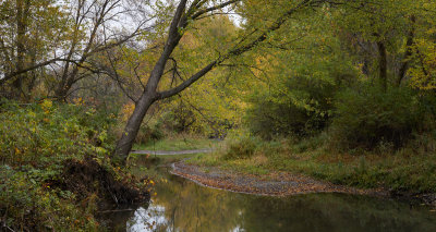 Kingsbury Creek in Autumn 