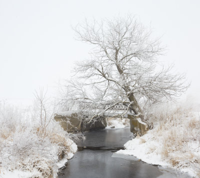 Field Bridge and Snow 