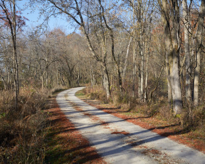 Uphill Shadows 