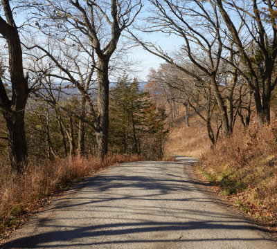 Bluff Road and Shadows 